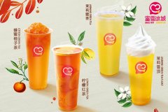 蜜雪冰城加盟要50万吗实际花费远远小于这个数